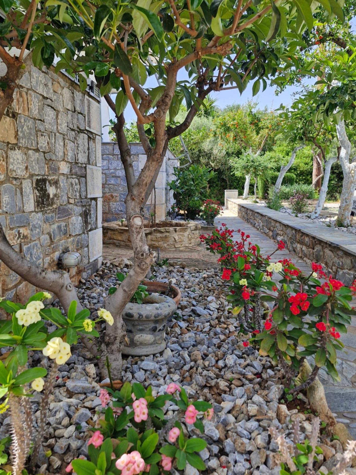 Anna Maria Studios Agios Nikolaos  Exterior foto